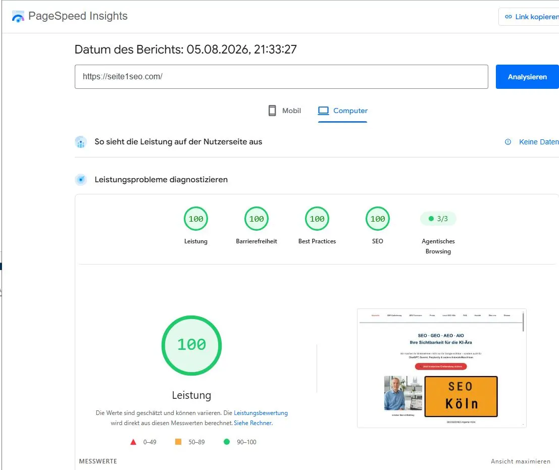 Google PageSpeed Insights 100 Punkte Ergebnis für Seite1SEO